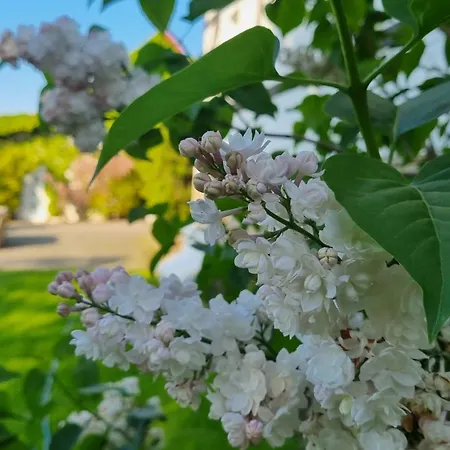 Folwark Leszczynówka Gospodarstwo agroturystyczne