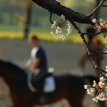 Bauernhof Folwark Leszczynowka *
