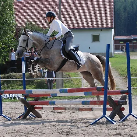 Gospodarstwo agroturystyczne Folwark Leszczynówka