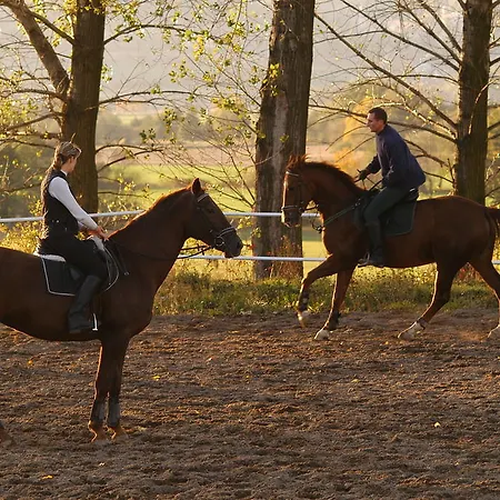Gospodarstwo agroturystyczne Folwark Leszczynówka Srebrna Góra