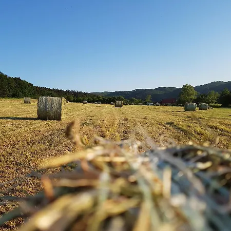Folwark Leszczynowka Bauernhof Srebrna Góra
