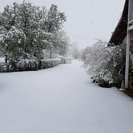 Folwark Leszczynowka *