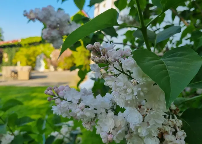 Folwark Leszczynowka Farma