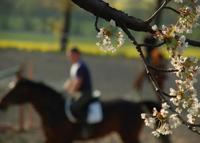 Farma Folwark Leszczynowka *