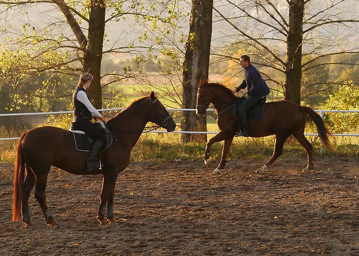Farma Folwark Leszczynowka Srebrna Góra