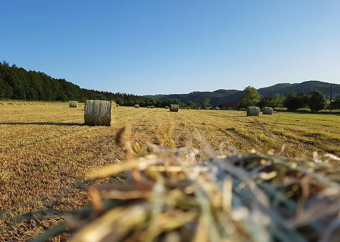 Folwark Leszczynowka Farma Srebrna Góra