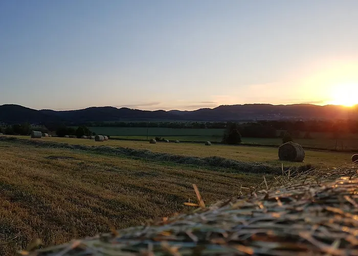 Folwark Leszczynowka