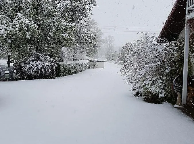 Folwark Leszczynowka *